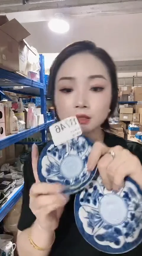 瓷片日本进口瓷器11cm碟两只B746