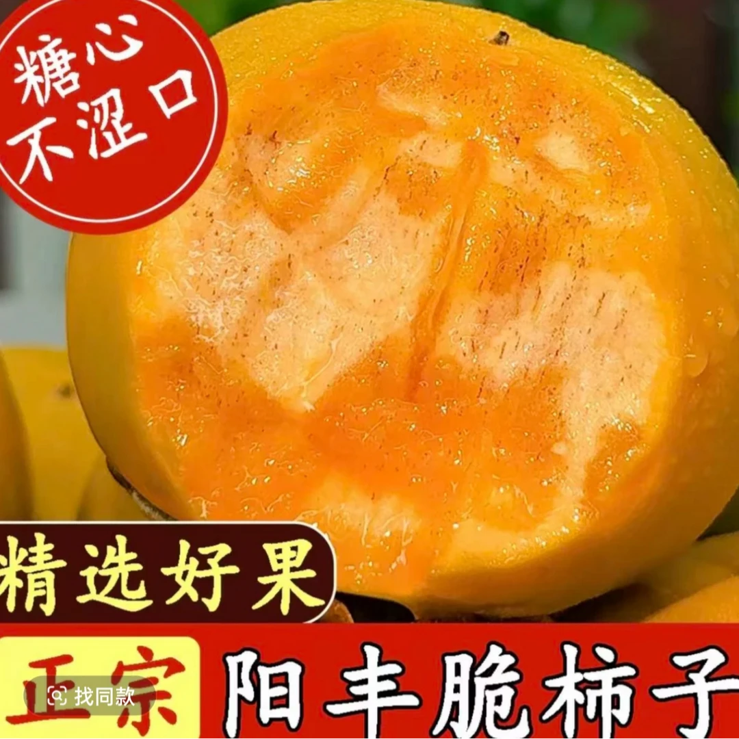 【养至全黄更好吃】新鲜脆甜巧克力脆柿口感脆甜多汁产地直发