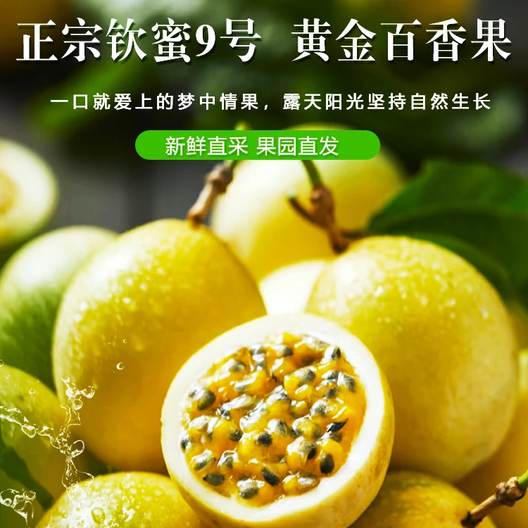 【香甜多汁】正宗钦蜜9号黄金百香果新鲜水果现摘现发应季百香果