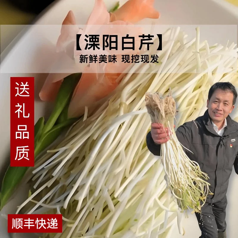 【非江浙沪皖顺丰专拍】社渚白芹正宗新鲜现挖现发壅土手工非遗