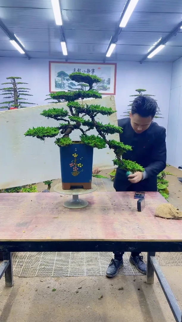 【闪购商品】一物一拍，所见即所得