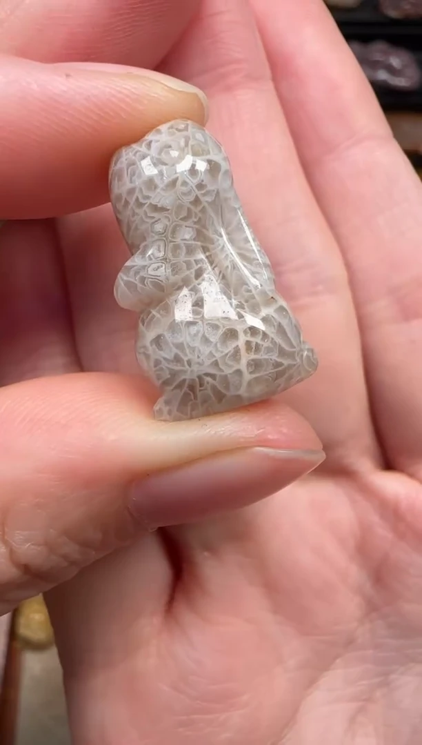 颈饰未镶嵌硅化珊瑚（珊瑚玉）343