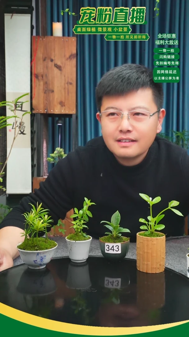 无花朵笑*苔藓微景观343号