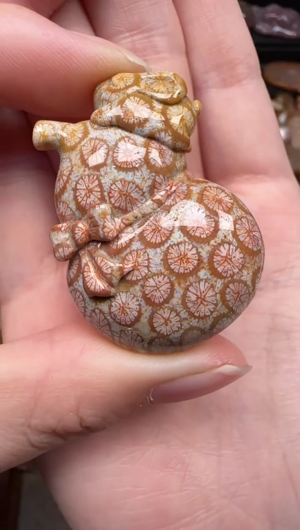 颈饰未镶嵌硅化珊瑚（珊瑚玉）575