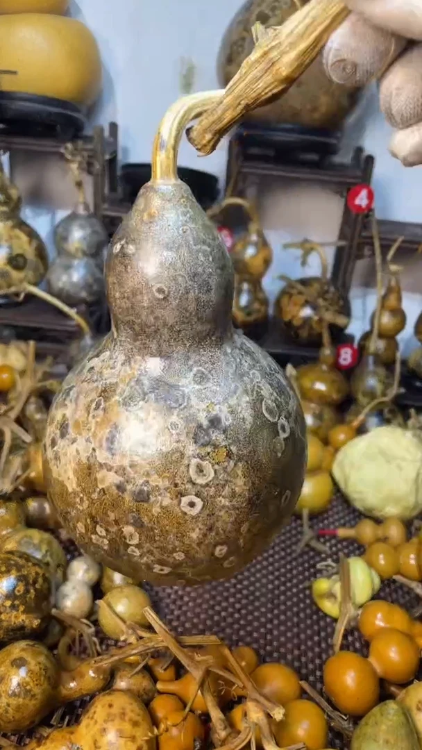 【闪购商品】葫芦葫芦葫芦葫芦