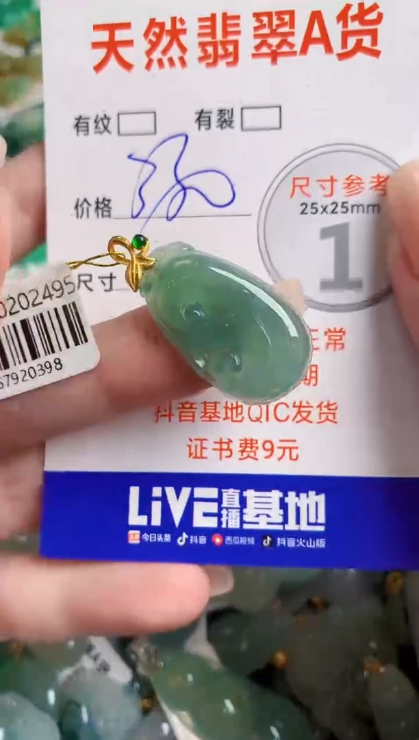 翡翠18K金镶嵌颈饰0899981051