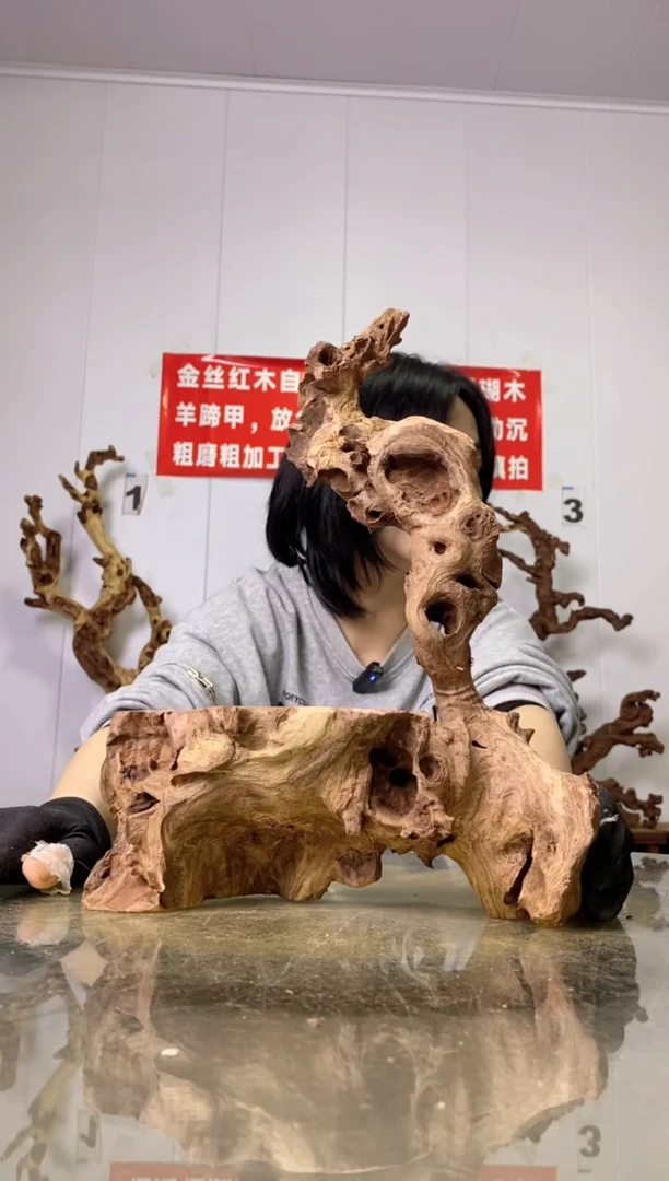 【闪购商品】木50金丝红木 羊蹄甲