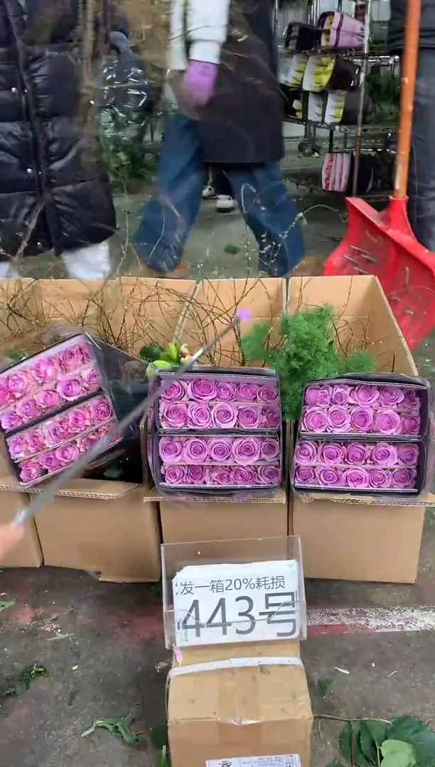 443号♥中通含20%耗损发一箱鲜花