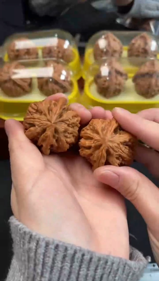 把件文玩核桃大粗筋40尺A537