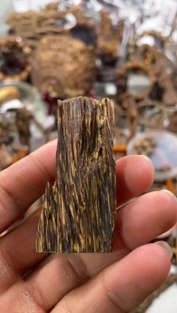 沉香沉香碎屑达拉干  沉香5.3