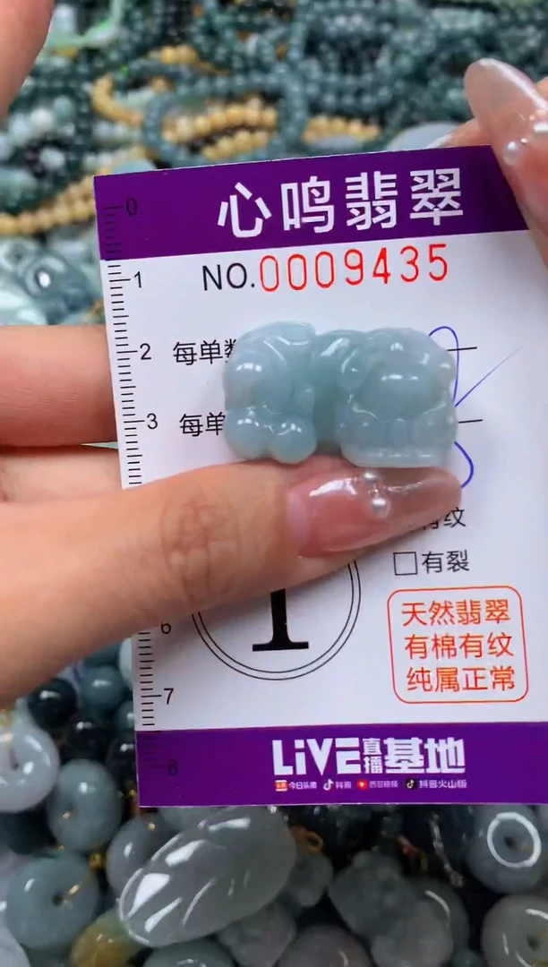 颈饰未镶嵌翡翠闪购009435