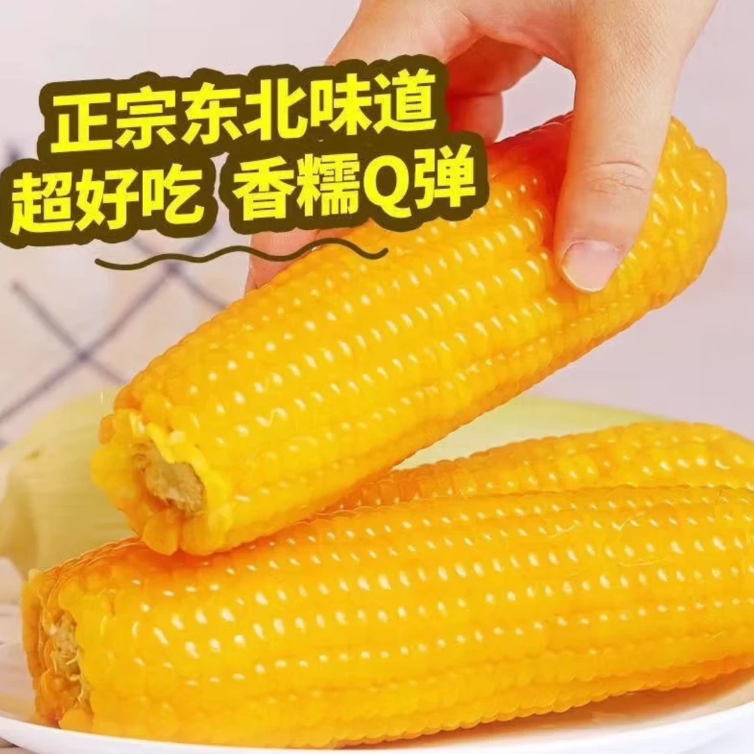【试吃两根】东北黄糯玉米炖菜煲汤蒸煮17分钟190g-220g10根