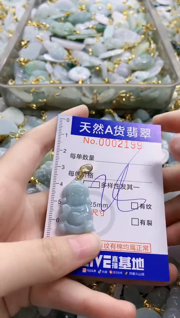 颈饰未镶嵌翡翠纯天然a货翡翠