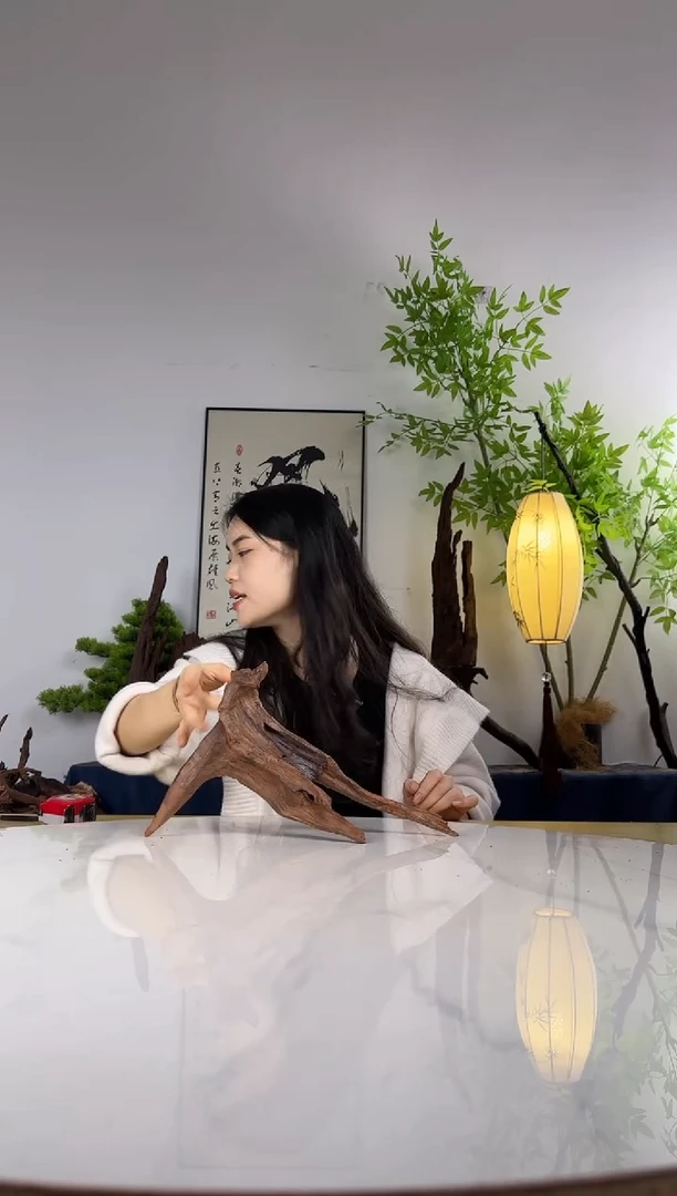 鸟**香拍这个定向编号94