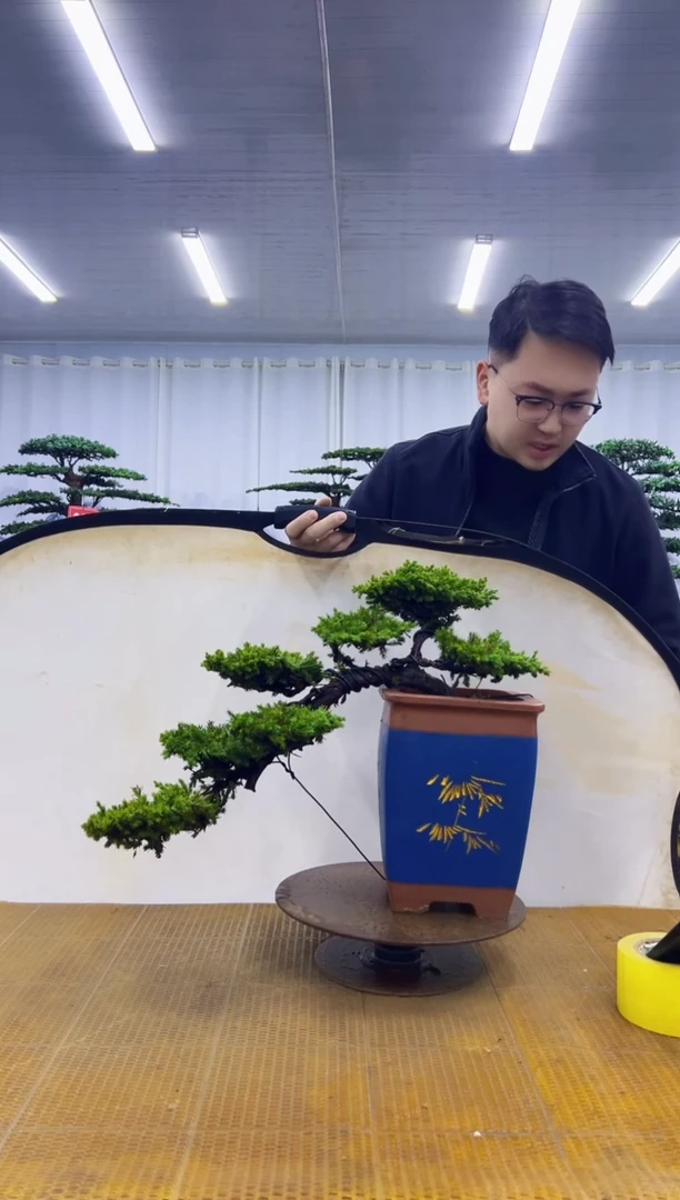 无花朵0000000000000000