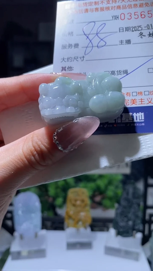 【闪购商品】翡翠颈饰未镶嵌翡翠356578