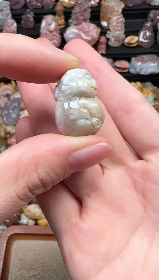 颈饰未镶嵌硅化珊瑚（珊瑚玉）006