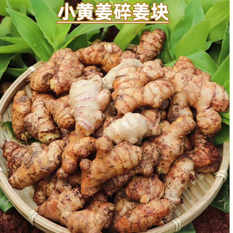 小碎姜 云南高山种植新鲜现挖小黄姜香辣去腥厨房调味必备 2斤