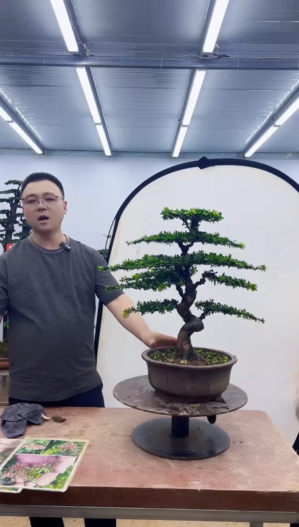 无花朵一物一拍，所见即所得