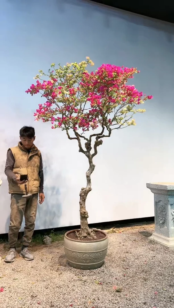 【闪购商品】aa933