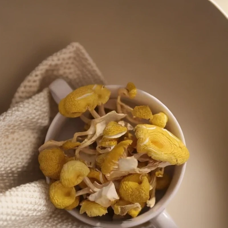 【阿娜3】 鸡油菌  深山农家山货