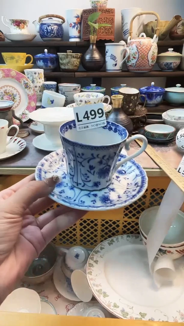 瓷片吞*菌L499不退不换.感谢理解