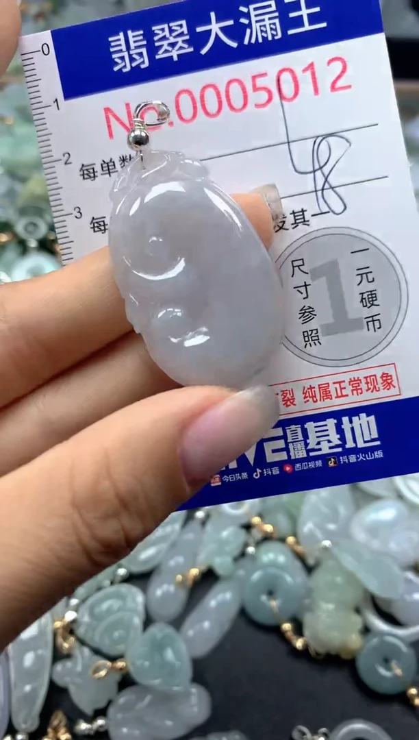颈饰未镶嵌翡翠5012