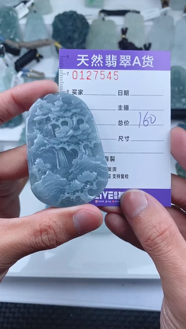 【闪购商品】翡翠颈饰未镶嵌        545