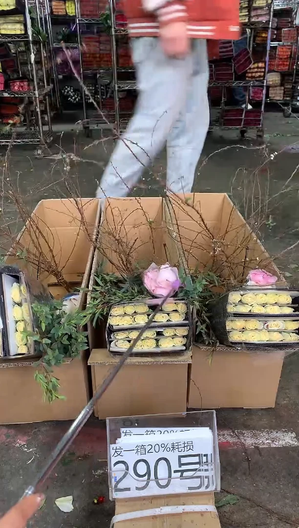290号♥中通含20%耗损发一箱鲜花