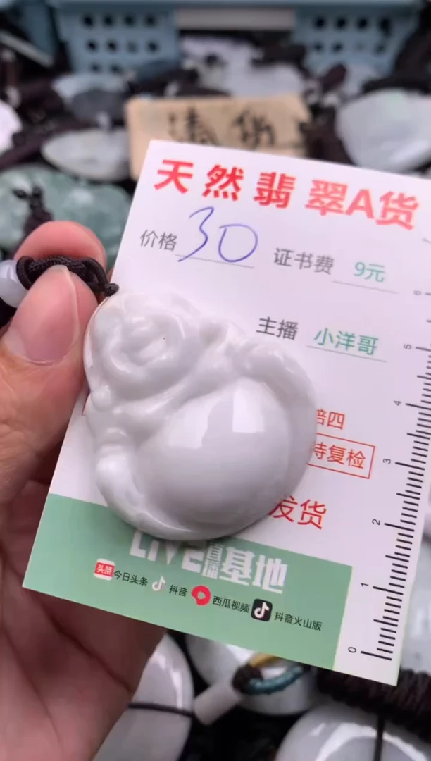 翡翠未镶嵌吊坠(不含链)1