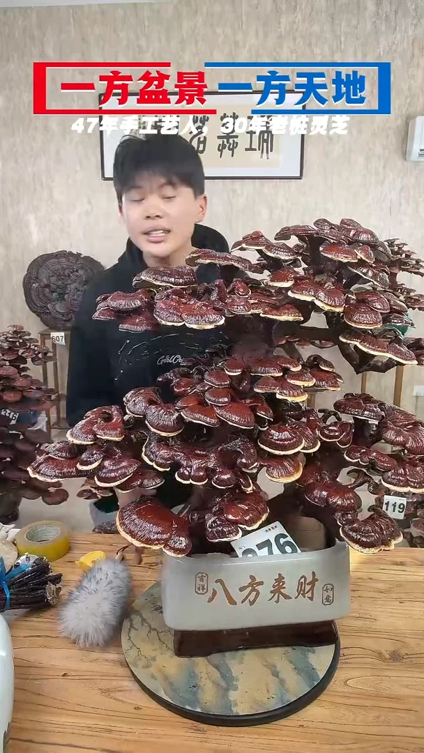 以实际为准磁**地376-789