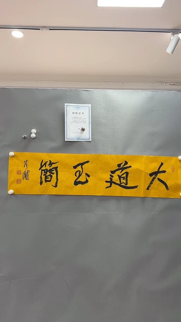 【闪购商品】书法雅艺典藏文化书法