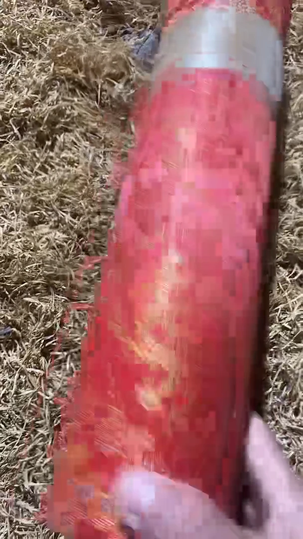 香榧木小红桶子1