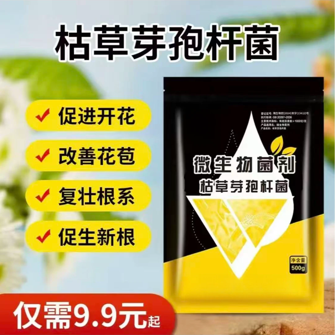 枯草芽孢杆菌菌剂疏松土壤促花植物兰花桂花绿植花卉