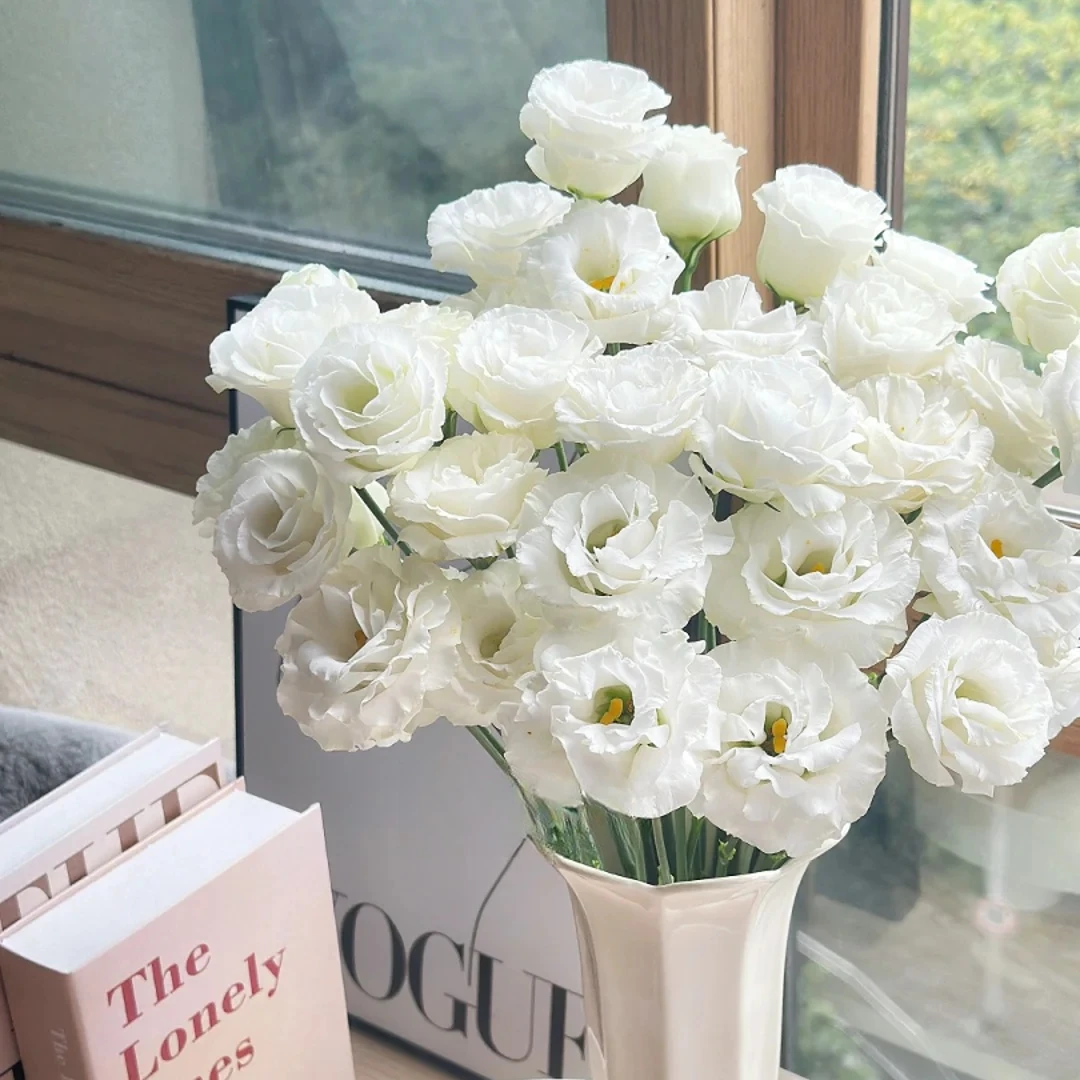 云南直发洋桔梗鲜切花 家用装饰小众花材