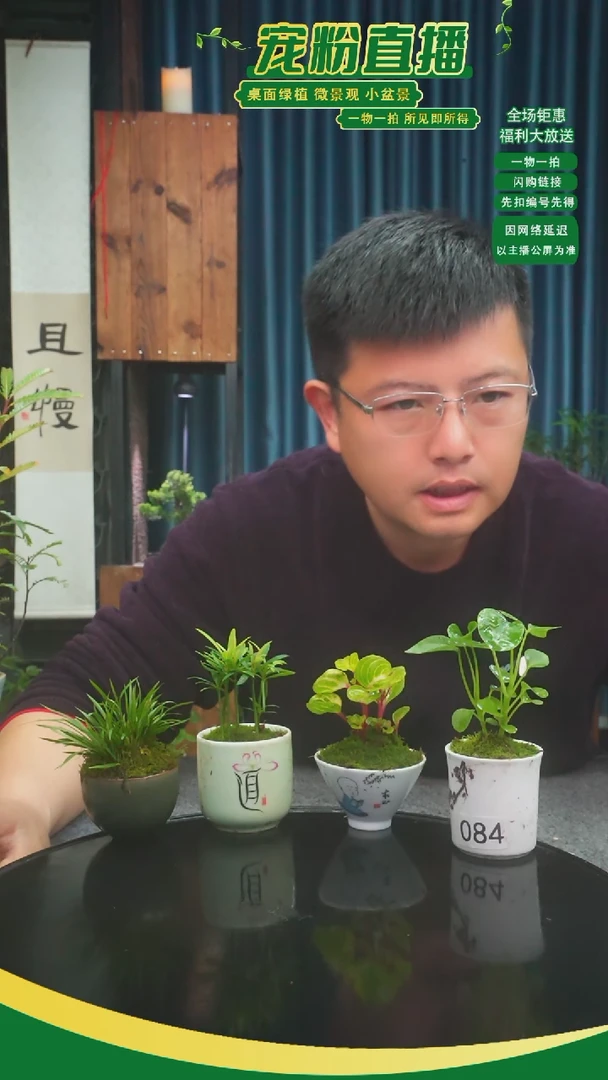 无花朵l****你苔藓微景观084号