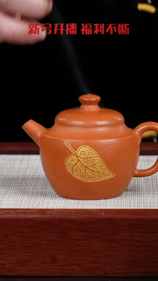 【闪购商品】紫泥茶壶宜兴紫砂壶  0201  A3