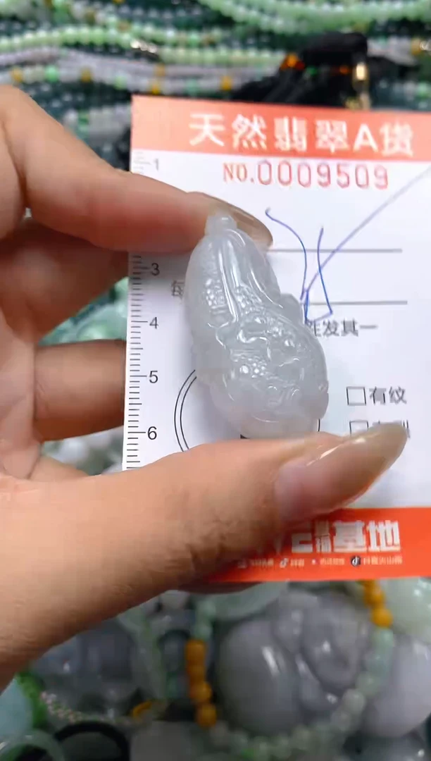 颈饰未镶嵌翡翠闪购0009509