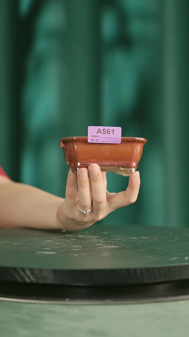 561
