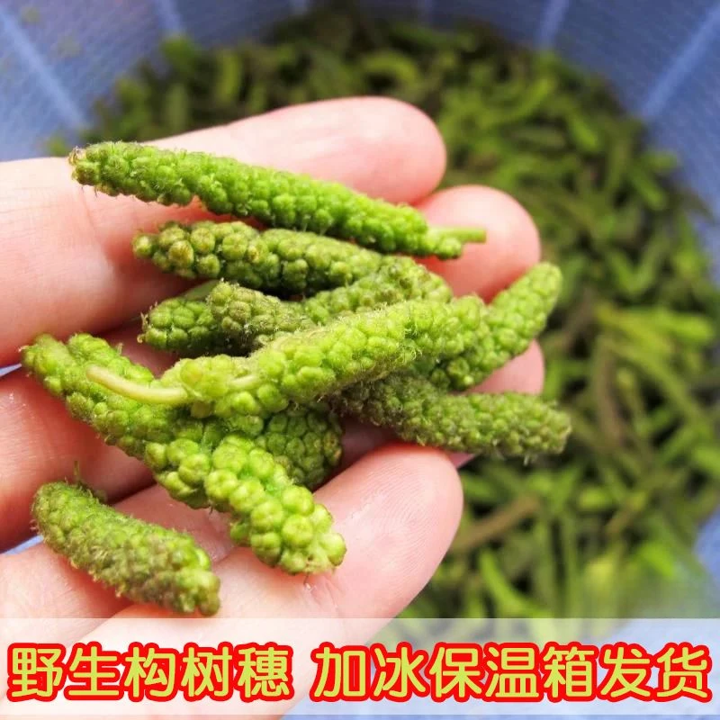顺丰野生新鲜构蒲穗构树花新鲜时令野菜构普穗儿构棒槌儿构构菜