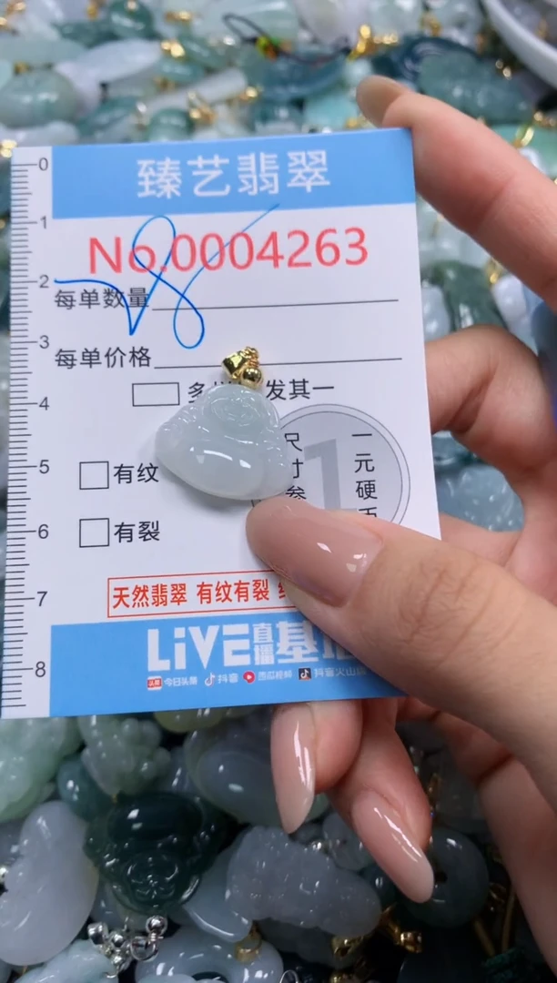 颈饰未镶嵌翡翠4263