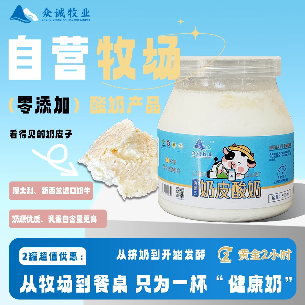 内蒙古草原奶皮子酸奶500g*2桶