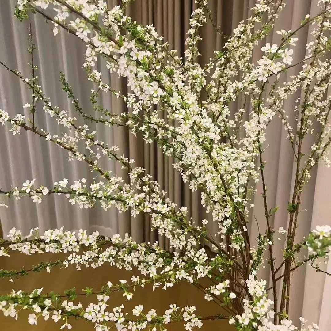 【陌上花开】桌面款雪柳-鲜切枝