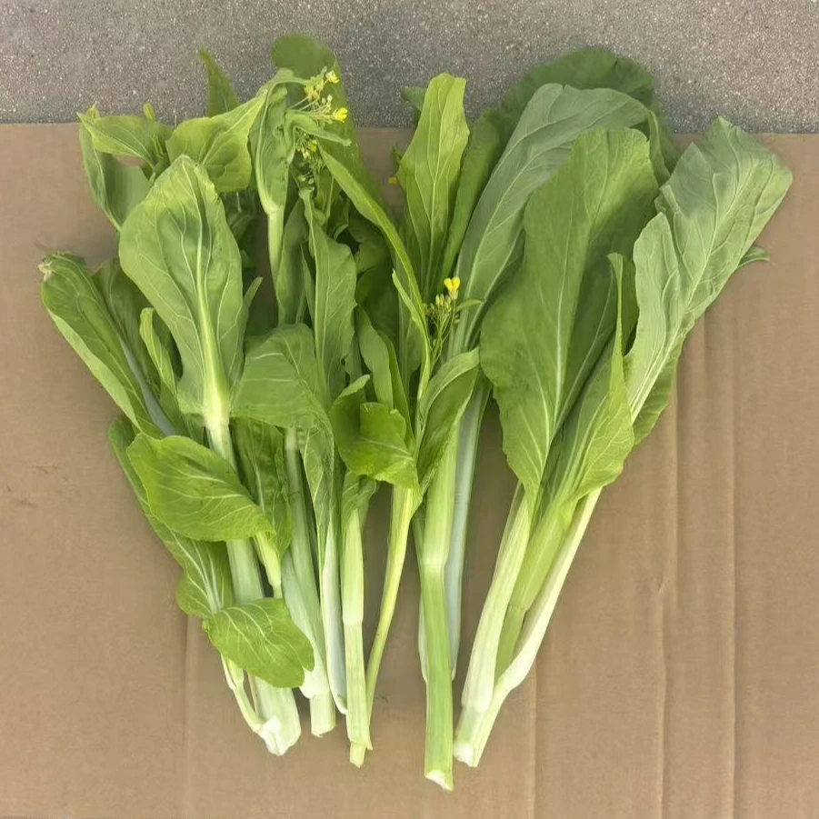 安徽安庆石牌蔬菜菜苔新鲜蔬菜白菜苔子石牌蔬菜当天采摘新鲜发货