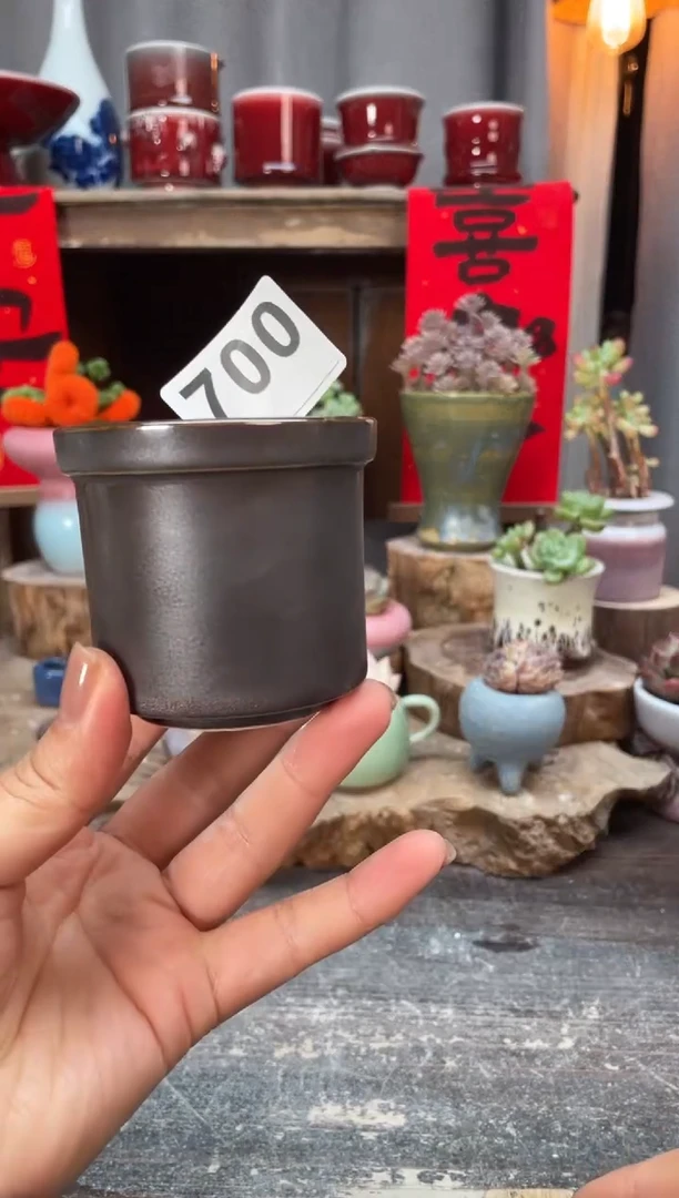 【闪购商品】摆件700知木小芳花盆