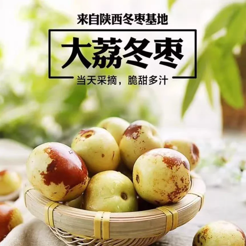 【陕西老树冬枣】大荔冬枣新鲜脆甜好吃爽口新鲜应季水果一箱三斤陕西省