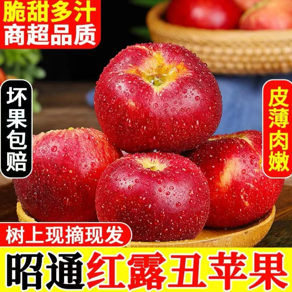 TM【顺丰送货上门】正宗云南昭通苹果红露苹果现摘新鲜水果脆甜多汁云南省
