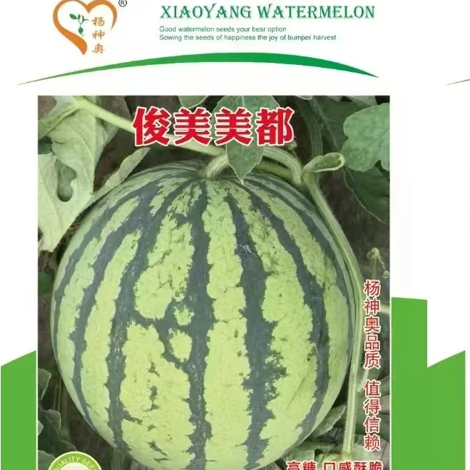 俊美美都/大红瓤双红/耐裂/耐高温/无水晶/糖度高/抗病性强/