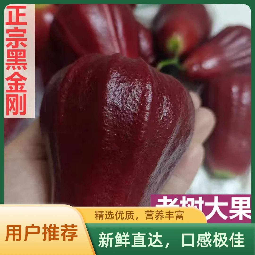 顺丰黑金刚莲雾果新鲜5斤孕妇水果礼盒正宗泰国海南三亚莲雾脆甜