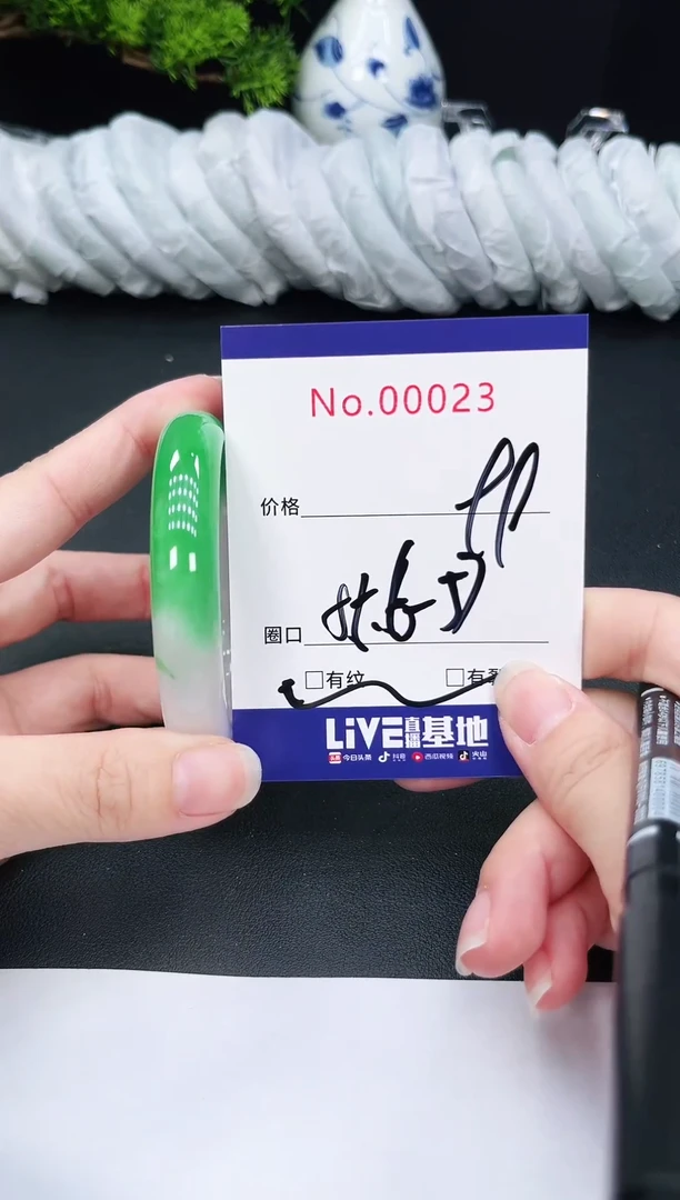 未镶嵌手镯翡翠23